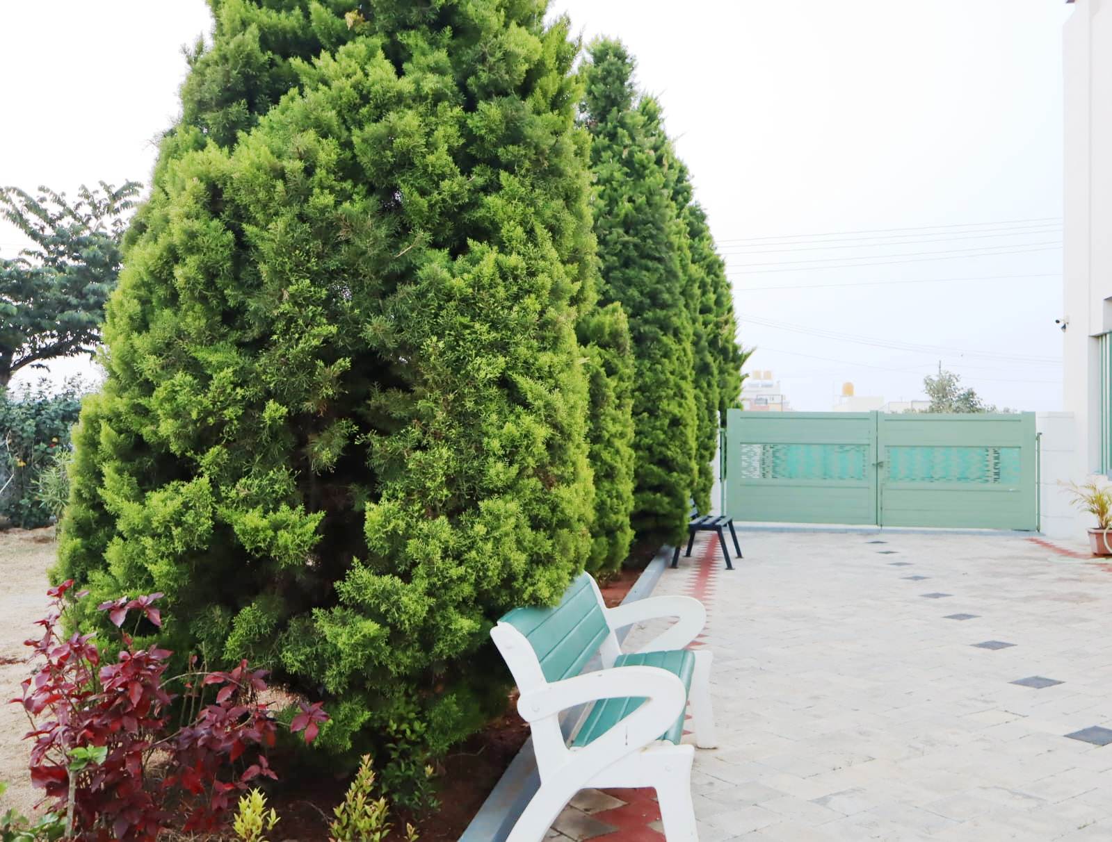 Outdoor Sitting